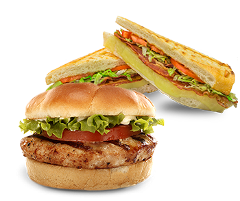 Sanwich & Burger